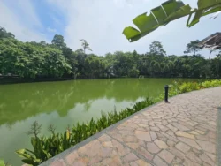 Singapore Botanic Gardens Svg+xml,%3Csvg%20xmlns%3D%22http%3A%2F%2Fwww.w3