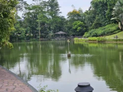 Singapore Botanic Gardens Svg+xml,%3Csvg%20xmlns%3D%22http%3A%2F%2Fwww.w3