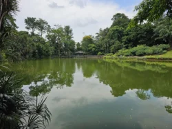 Singapore Botanic Gardens Svg+xml,%3Csvg%20xmlns%3D%22http%3A%2F%2Fwww.w3