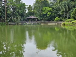 Singapore Botanic Gardens Svg+xml,%3Csvg%20xmlns%3D%22http%3A%2F%2Fwww.w3