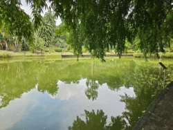 Singapore Botanic Gardens Svg+xml,%3Csvg%20xmlns%3D%22http%3A%2F%2Fwww.w3