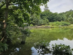 Singapore Botanic Gardens Svg+xml,%3Csvg%20xmlns%3D%22http%3A%2F%2Fwww.w3