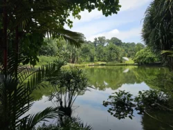 Singapore Botanic Gardens Svg+xml,%3Csvg%20xmlns%3D%22http%3A%2F%2Fwww.w3