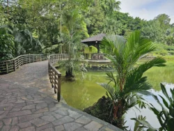 Singapore Botanic Gardens Svg+xml,%3Csvg%20xmlns%3D%22http%3A%2F%2Fwww.w3