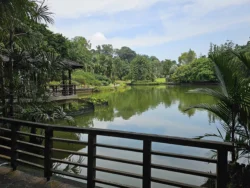 Singapore Botanic Gardens Svg+xml,%3Csvg%20xmlns%3D%22http%3A%2F%2Fwww.w3