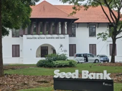 Singapore Botanic Gardens Svg+xml,%3Csvg%20xmlns%3D%22http%3A%2F%2Fwww.w3