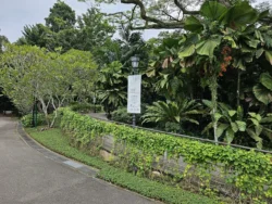 Singapore Botanic Gardens Svg+xml,%3Csvg%20xmlns%3D%22http%3A%2F%2Fwww.w3