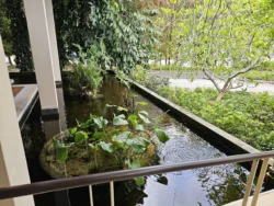 Singapore Botanic Gardens Svg+xml,%3Csvg%20xmlns%3D%22http%3A%2F%2Fwww.w3