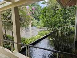 Singapore Botanic Gardens Svg+xml,%3Csvg%20xmlns%3D%22http%3A%2F%2Fwww.w3