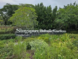 Singapore Botanic Gardens Svg+xml,%3Csvg%20xmlns%3D%22http%3A%2F%2Fwww.w3