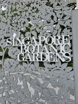 Singapore Botanic Gardens Svg+xml,%3Csvg%20xmlns%3D%22http%3A%2F%2Fwww.w3