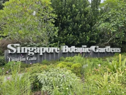 Singapore Botanic Gardens Svg+xml,%3Csvg%20xmlns%3D%22http%3A%2F%2Fwww.w3