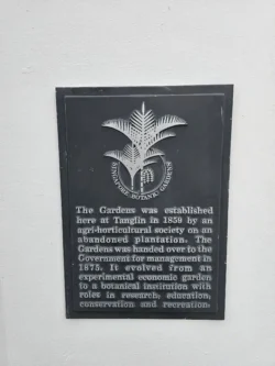 Singapore Botanic Gardens Svg+xml,%3Csvg%20xmlns%3D%22http%3A%2F%2Fwww.w3