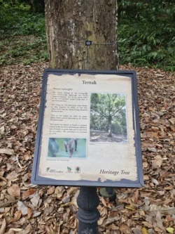 Singapore Botanic Gardens Svg+xml,%3Csvg%20xmlns%3D%22http%3A%2F%2Fwww.w3