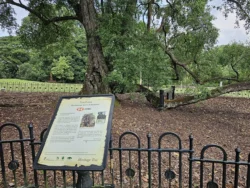 Singapore Botanic Gardens Svg+xml,%3Csvg%20xmlns%3D%22http%3A%2F%2Fwww.w3