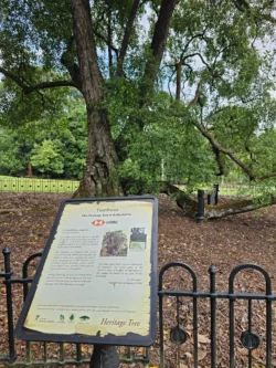 Singapore Botanic Gardens Svg+xml,%3Csvg%20xmlns%3D%22http%3A%2F%2Fwww.w3