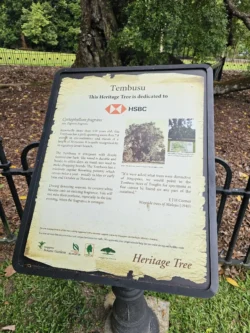 Singapore Botanic Gardens Svg+xml,%3Csvg%20xmlns%3D%22http%3A%2F%2Fwww.w3