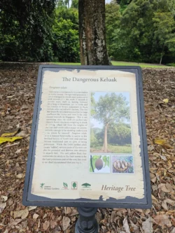 Singapore Botanic Gardens Svg+xml,%3Csvg%20xmlns%3D%22http%3A%2F%2Fwww.w3