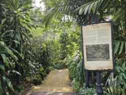 Singapore Botanic Gardens Svg+xml,%3Csvg%20xmlns%3D%22http%3A%2F%2Fwww.w3