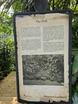 Singapore Botanic Gardens Svg+xml,%3Csvg%20xmlns%3D%22http%3A%2F%2Fwww.w3