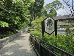 Singapore Botanic Gardens Svg+xml,%3Csvg%20xmlns%3D%22http%3A%2F%2Fwww.w3