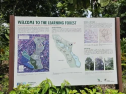 Singapore Botanic Gardens Svg+xml,%3Csvg%20xmlns%3D%22http%3A%2F%2Fwww.w3