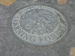 Singapore Botanic Gardens Svg+xml,%3Csvg%20xmlns%3D%22http%3A%2F%2Fwww.w3