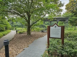 Singapore Botanic Gardens Svg+xml,%3Csvg%20xmlns%3D%22http%3A%2F%2Fwww.w3