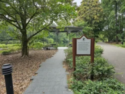 Singapore Botanic Gardens Svg+xml,%3Csvg%20xmlns%3D%22http%3A%2F%2Fwww.w3