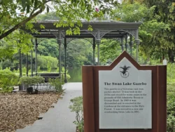 Singapore Botanic Gardens Svg+xml,%3Csvg%20xmlns%3D%22http%3A%2F%2Fwww.w3