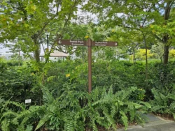 Bedok Reservoir Park Svg+xml,%3Csvg%20xmlns%3D%22http%3A%2F%2Fwww.w3