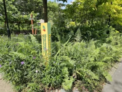 Bedok Reservoir Park Svg+xml,%3Csvg%20xmlns%3D%22http%3A%2F%2Fwww.w3