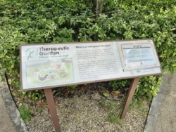 Bedok Reservoir Park Svg+xml,%3Csvg%20xmlns%3D%22http%3A%2F%2Fwww.w3