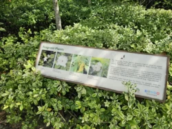 Bedok Reservoir Park Svg+xml,%3Csvg%20xmlns%3D%22http%3A%2F%2Fwww.w3