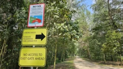 Coney Island Svg+xml,%3Csvg%20xmlns%3D%22http%3A%2F%2Fwww.w3