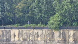 Coney Island Svg+xml,%3Csvg%20xmlns%3D%22http%3A%2F%2Fwww.w3