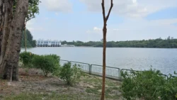 Coney Island Svg+xml,%3Csvg%20xmlns%3D%22http%3A%2F%2Fwww.w3