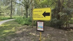 Coney Island Svg+xml,%3Csvg%20xmlns%3D%22http%3A%2F%2Fwww.w3