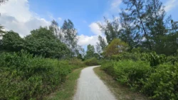 Coney Island Svg+xml,%3Csvg%20xmlns%3D%22http%3A%2F%2Fwww.w3