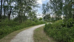 Coney Island Svg+xml,%3Csvg%20xmlns%3D%22http%3A%2F%2Fwww.w3