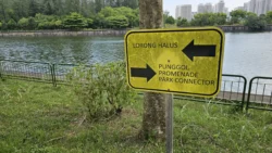 Coney Island Svg+xml,%3Csvg%20xmlns%3D%22http%3A%2F%2Fwww.w3