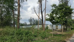 Coney Island Svg+xml,%3Csvg%20xmlns%3D%22http%3A%2F%2Fwww.w3