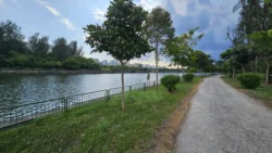 Coney Island Svg+xml,%3Csvg%20xmlns%3D%22http%3A%2F%2Fwww.w3