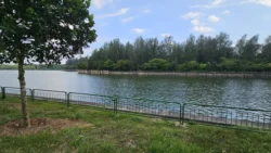 Coney Island Svg+xml,%3Csvg%20xmlns%3D%22http%3A%2F%2Fwww.w3