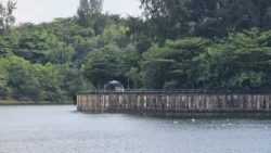 Coney Island Svg+xml,%3Csvg%20xmlns%3D%22http%3A%2F%2Fwww.w3