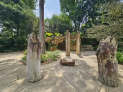 Singapore Botanic Gardens Svg+xml,%3Csvg%20xmlns%3D%22http%3A%2F%2Fwww.w3