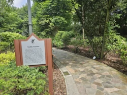 Singapore Botanic Gardens Svg+xml,%3Csvg%20xmlns%3D%22http%3A%2F%2Fwww.w3