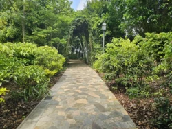 Singapore Botanic Gardens Svg+xml,%3Csvg%20xmlns%3D%22http%3A%2F%2Fwww.w3