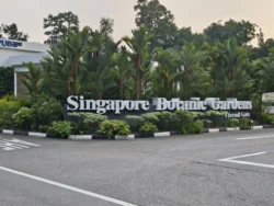 Singapore Botanic Gardens Svg+xml,%3Csvg%20xmlns%3D%22http%3A%2F%2Fwww.w3