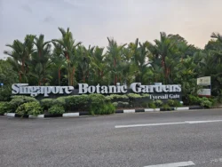 Singapore Botanic Gardens Svg+xml,%3Csvg%20xmlns%3D%22http%3A%2F%2Fwww.w3